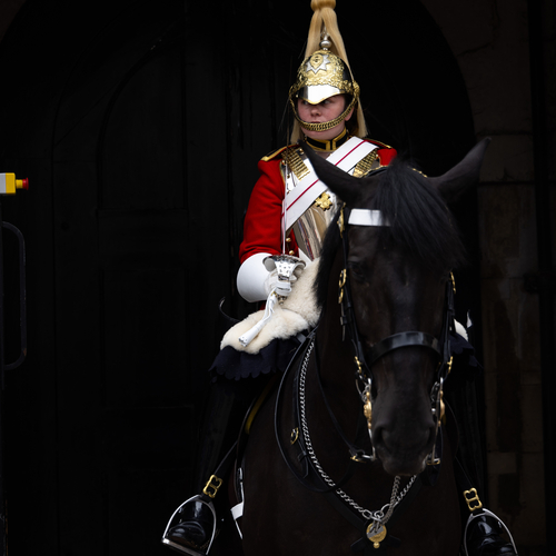 Household Cavalry guard on horseback, London