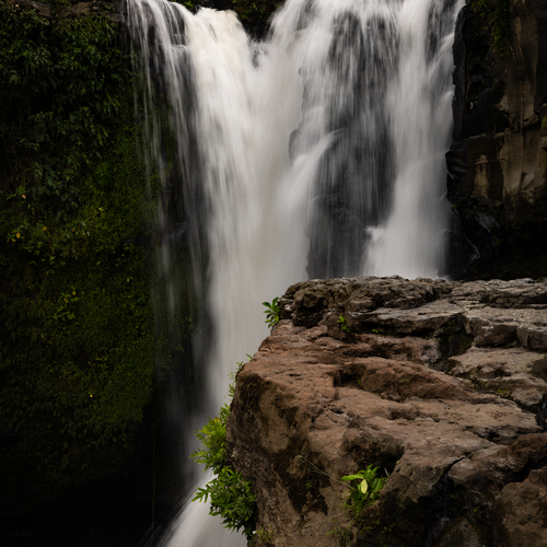 Waterfall in an Australian rainforest